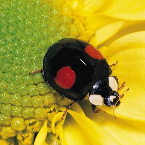 Meet your Posher, Corey - Picture 1 of 1